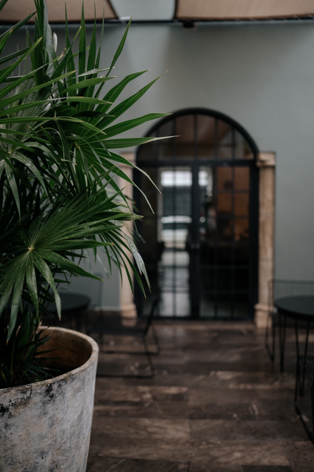 galeria.galeria.alt.mood2